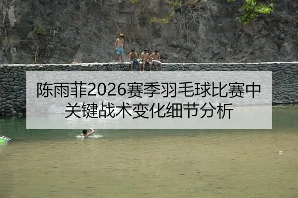 陈雨菲2026赛季羽毛球比赛中关键战术变化细节分析